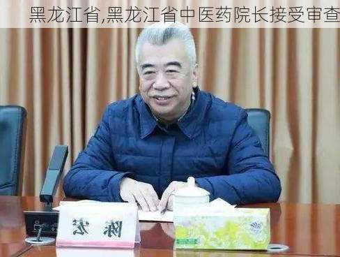 黑龙江省,黑龙江省中医药院长接受审查