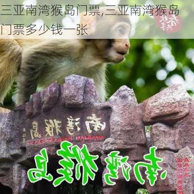 三亚南湾猴岛门票,三亚南湾猴岛门票多少钱一张