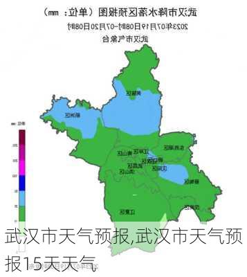 武汉市天气预报,武汉市天气预报15天天气