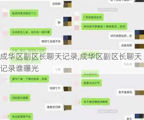 成华区副区长聊天记录,成华区副区长聊天记录谁曝光