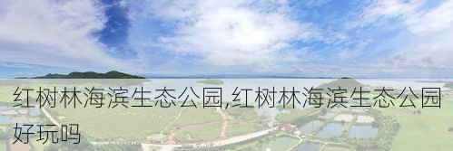 红树林海滨生态公园,红树林海滨生态公园好玩吗