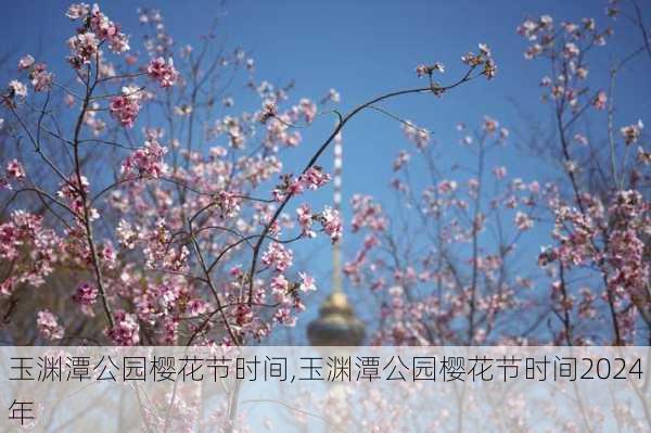 玉渊潭公园樱花节时间,玉渊潭公园樱花节时间2024年