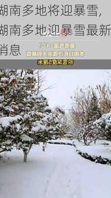 湖南多地将迎暴雪,湖南多地迎暴雪最新消息