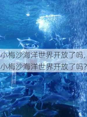 小梅沙海洋世界开放了吗,小梅沙海洋世界开放了吗?