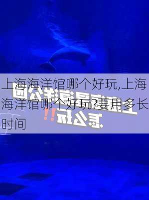 上海海洋馆哪个好玩,上海海洋馆哪个好玩?要用多长时间