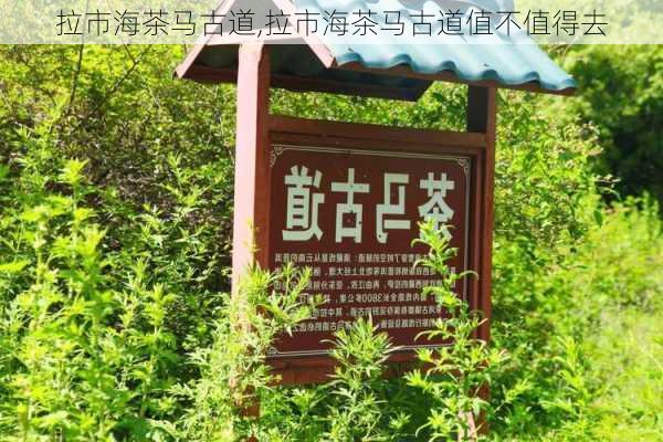 拉市海茶马古道,拉市海茶马古道值不值得去