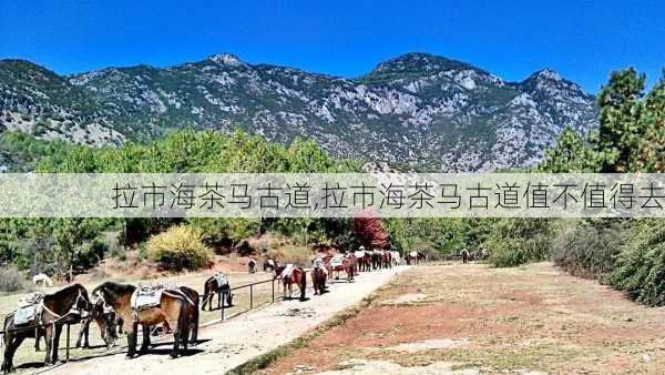 拉市海茶马古道,拉市海茶马古道值不值得去