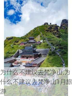 为什么不建议去梵净山,为什么不建议去梵净山1月旅游