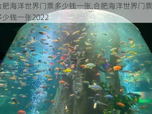 合肥海洋世界门票多少钱一张,合肥海洋世界门票多少钱一张2022