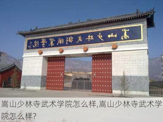 嵩山少林寺武术学院怎么样,嵩山少林寺武术学院怎么样?