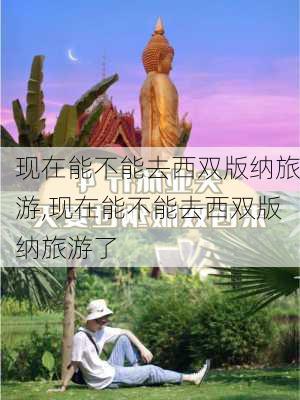 现在能不能去西双版纳旅游,现在能不能去西双版纳旅游了