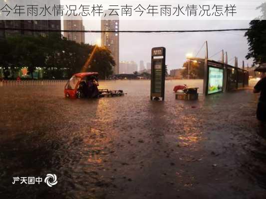 今年雨水情况怎样,云南今年雨水情况怎样