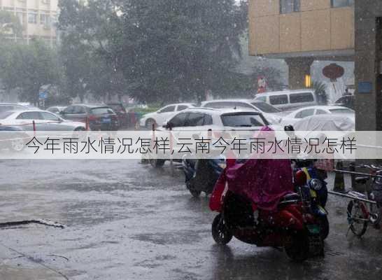 今年雨水情况怎样,云南今年雨水情况怎样