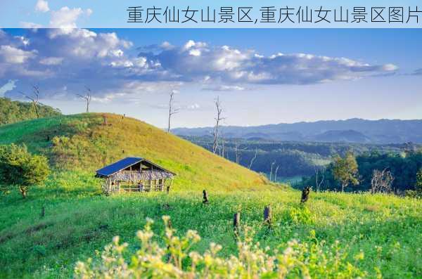 重庆仙女山景区,重庆仙女山景区图片