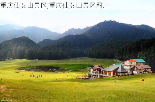 重庆仙女山景区,重庆仙女山景区图片