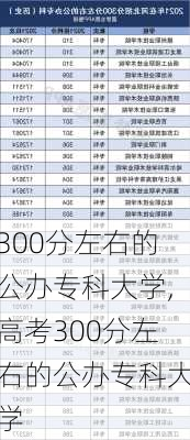 300分左右的公办专科大学,高考300分左右的公办专科大学