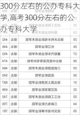 300分左右的公办专科大学,高考300分左右的公办专科大学