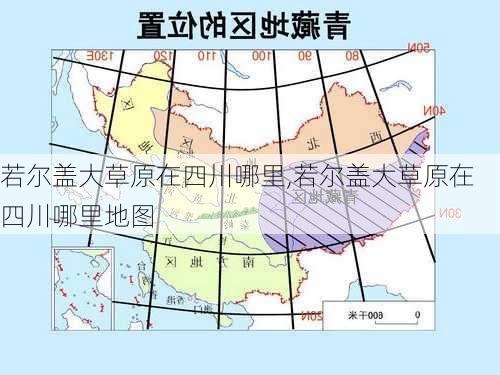 若尔盖大草原在四川哪里,若尔盖大草原在四川哪里地图