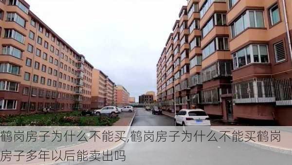 鹤岗房子为什么不能买,鹤岗房子为什么不能买鹤岗房子多年以后能卖出吗