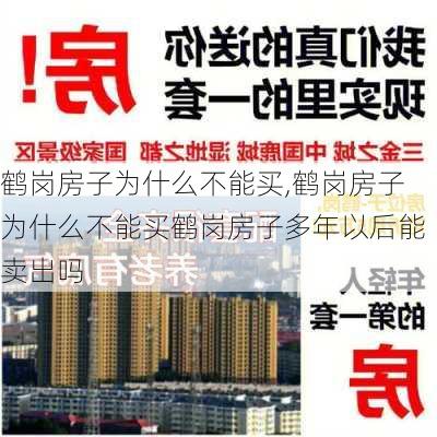 鹤岗房子为什么不能买,鹤岗房子为什么不能买鹤岗房子多年以后能卖出吗