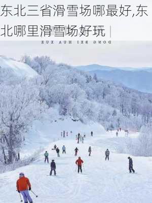 东北三省滑雪场哪最好,东北哪里滑雪场好玩