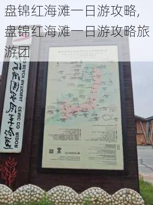 盘锦红海滩一日游攻略,盘锦红海滩一日游攻略旅游团