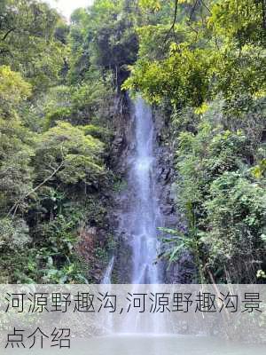 河源野趣沟,河源野趣沟景点介绍