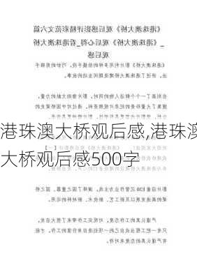 港珠澳大桥观后感,港珠澳大桥观后感500字