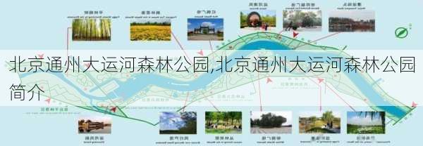 北京通州大运河森林公园,北京通州大运河森林公园简介