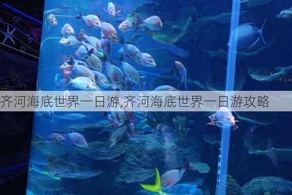 齐河海底世界一日游,齐河海底世界一日游攻略