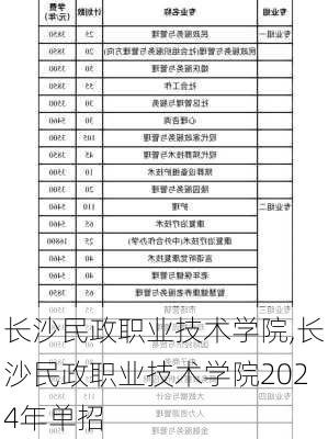 长沙民政职业技术学院,长沙民政职业技术学院2024年单招