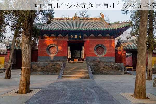 河南有几个少林寺,河南有几个少林寺学校