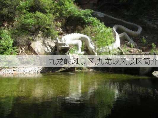 九龙峡风景区,九龙峡风景区简介