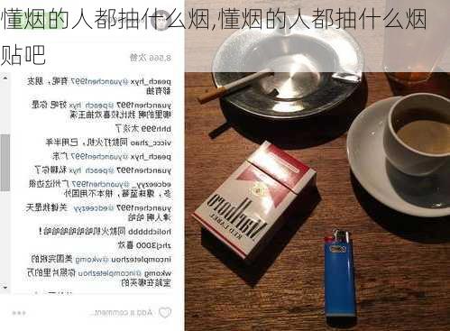 懂烟的人都抽什么烟,懂烟的人都抽什么烟贴吧