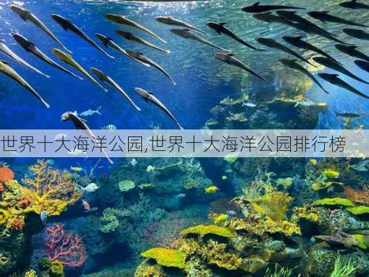 世界十大海洋公园,世界十大海洋公园排行榜