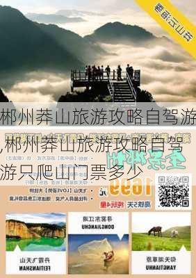 郴州莽山旅游攻略自驾游,郴州莽山旅游攻略自驾游只爬山门票多少