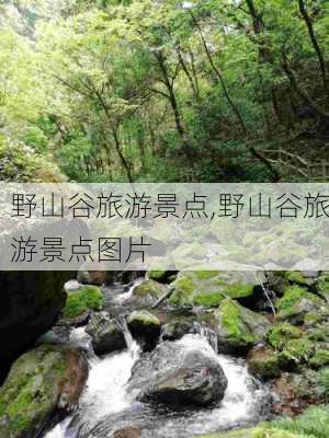 野山谷旅游景点,野山谷旅游景点图片