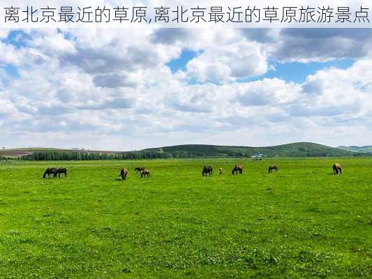 离北京最近的草原,离北京最近的草原旅游景点