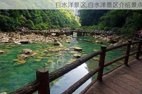 白水洋景区,白水洋景区介绍景点