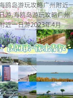 海鸥岛游玩攻略广州附近一日游,海鸥岛游玩攻略广州附近一日游2023年4月