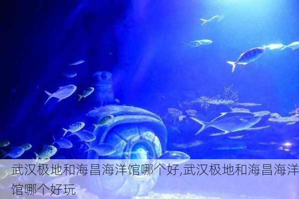 武汉极地和海昌海洋馆哪个好,武汉极地和海昌海洋馆哪个好玩