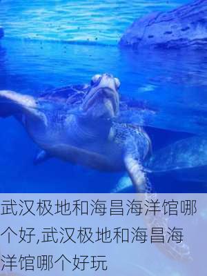 武汉极地和海昌海洋馆哪个好,武汉极地和海昌海洋馆哪个好玩