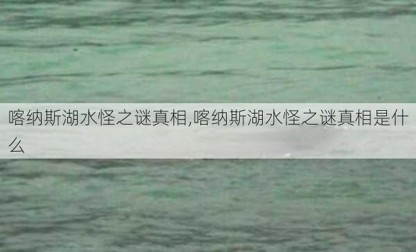 喀纳斯湖水怪之谜真相,喀纳斯湖水怪之谜真相是什么