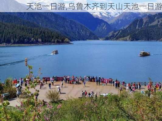 天池一日游,乌鲁木齐到天山天池一日游