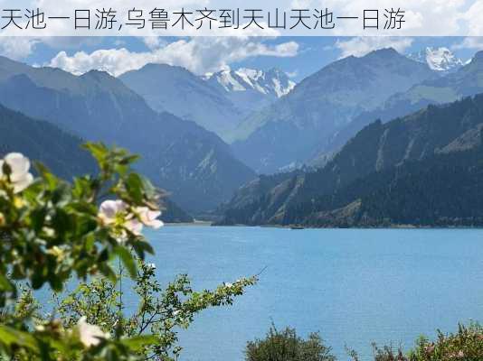 天池一日游,乌鲁木齐到天山天池一日游