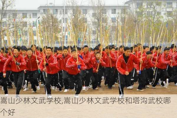 嵩山少林文武学校,嵩山少林文武学校和塔沟武校哪个好