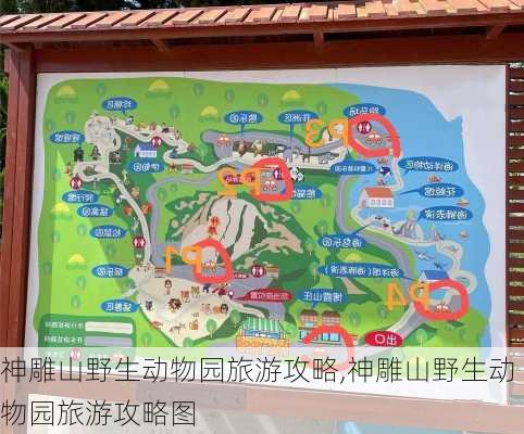 神雕山野生动物园旅游攻略,神雕山野生动物园旅游攻略图