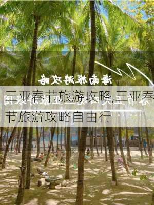 三亚春节旅游攻略,三亚春节旅游攻略自由行