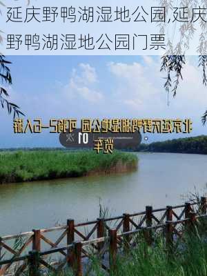 延庆野鸭湖湿地公园,延庆野鸭湖湿地公园门票