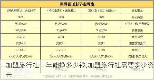 加盟旅行社一年能挣多少钱,加盟旅行社需要多少资金